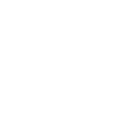Icon Hydration